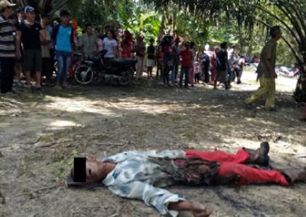 Ngadiman Tewas Kesetrum Listrik Saat Panen Kelapa